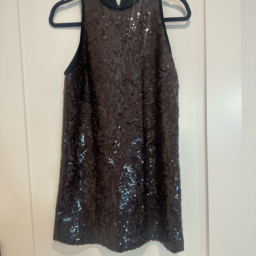 Sequin Zara dress